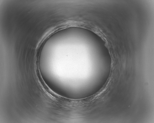 X0000061720101200512021350