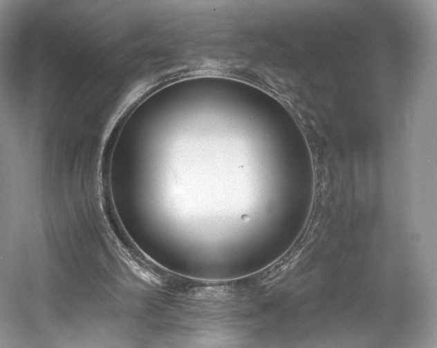 X0000061720102200512021350