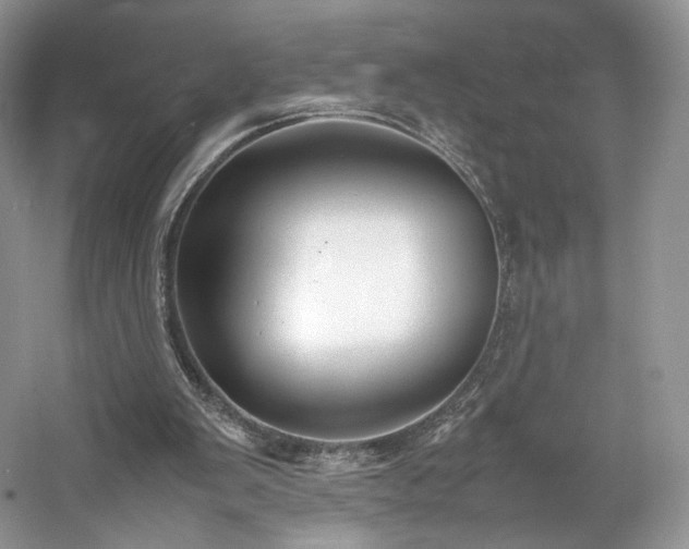 X0000061720103200512021350