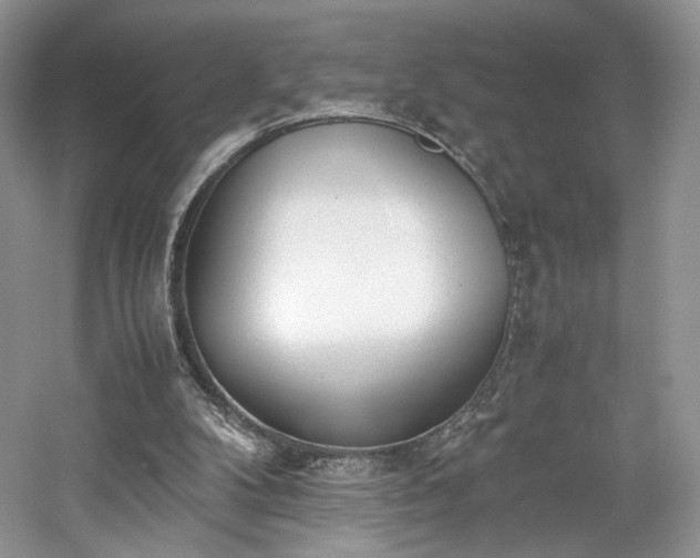 X0000061720104200512021350