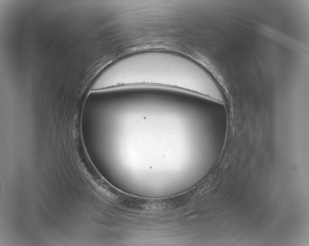 X0000061720105200512021350