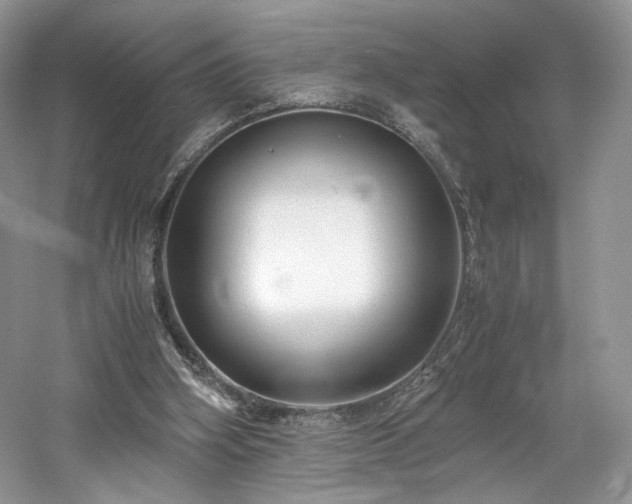 X0000061720106200512021350