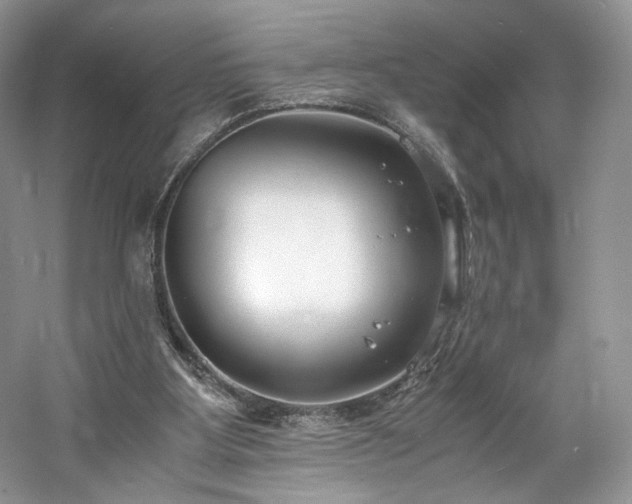 X0000061720107200512021350