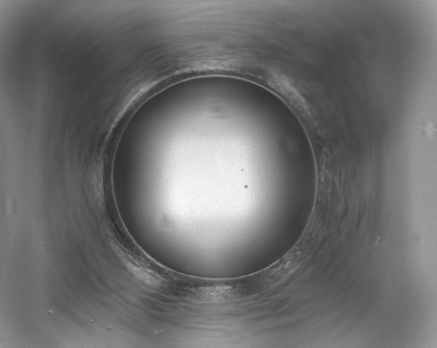 X0000061720108200512021350