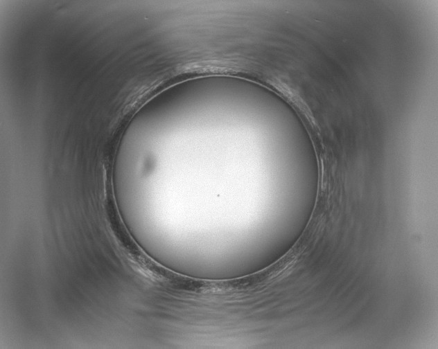 X0000061720109200512021350