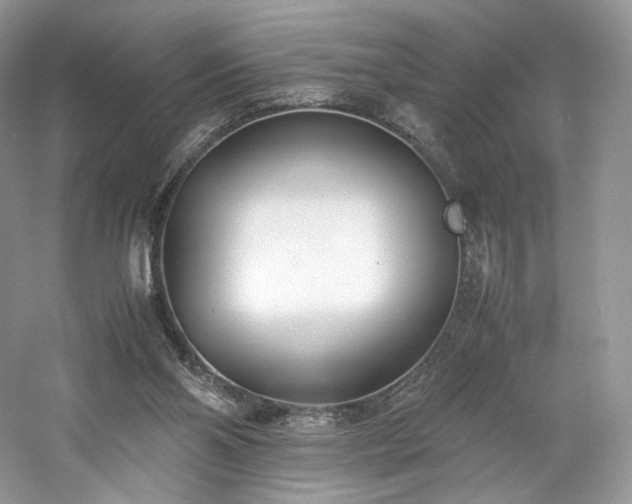 X0000061720110200512021350
