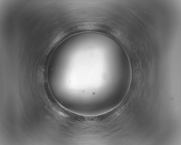 X0000061720111200512021350