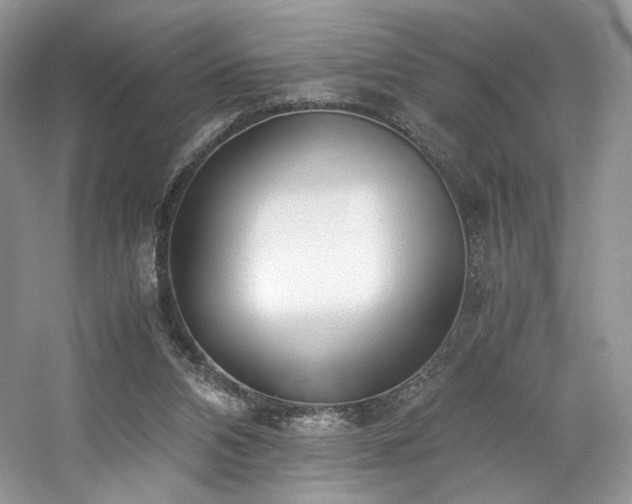 X0000061720112200512021350