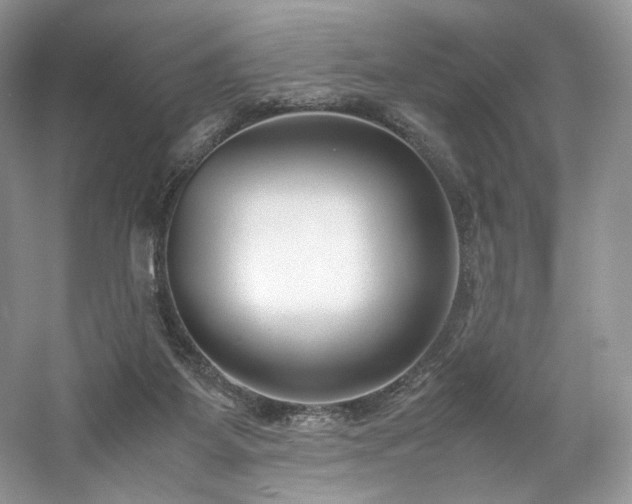 X0000061720115200512021350