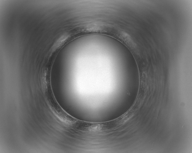 X0000061720116200512021350
