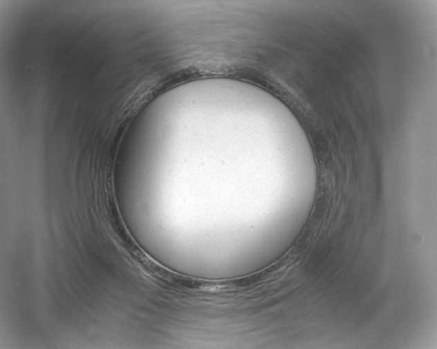 X0000061720117200512021349