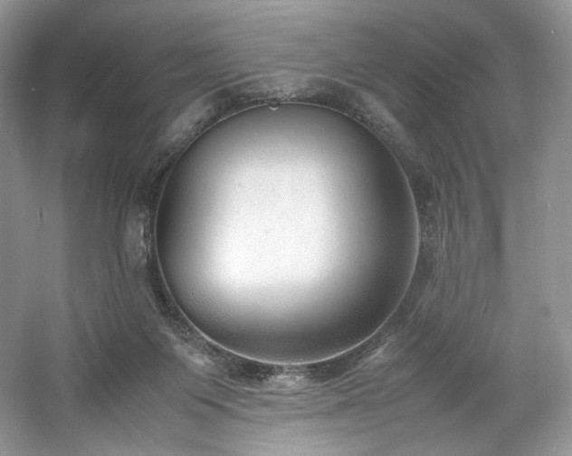 X0000061720119200512021349
