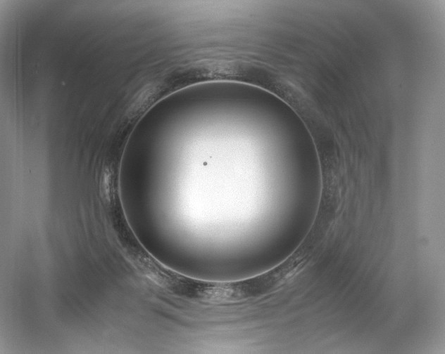 X0000061720123200512021349