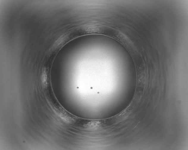 X0000061720124200512021349