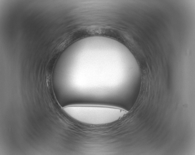 X0000061720125200512021349