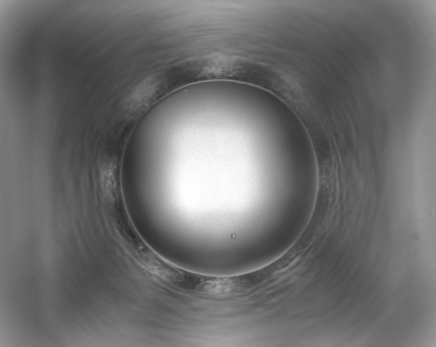 X0000061720127200512021349
