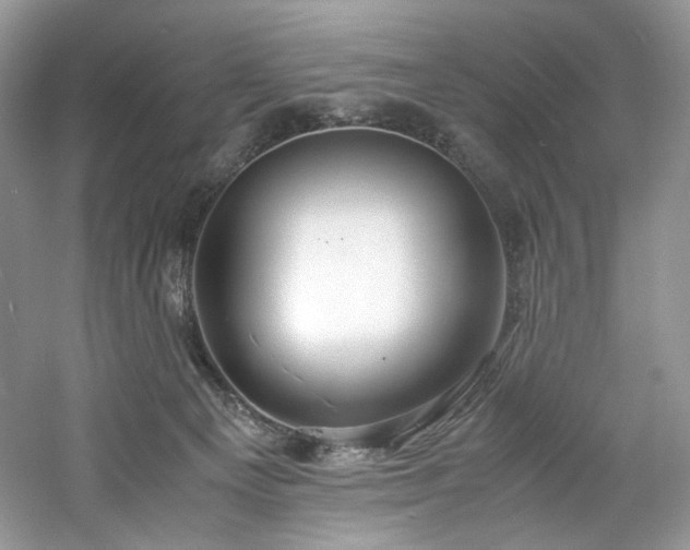 X0000061720129200512021349