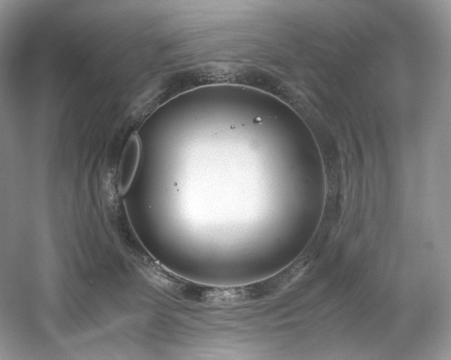 X0000061720131200512021349