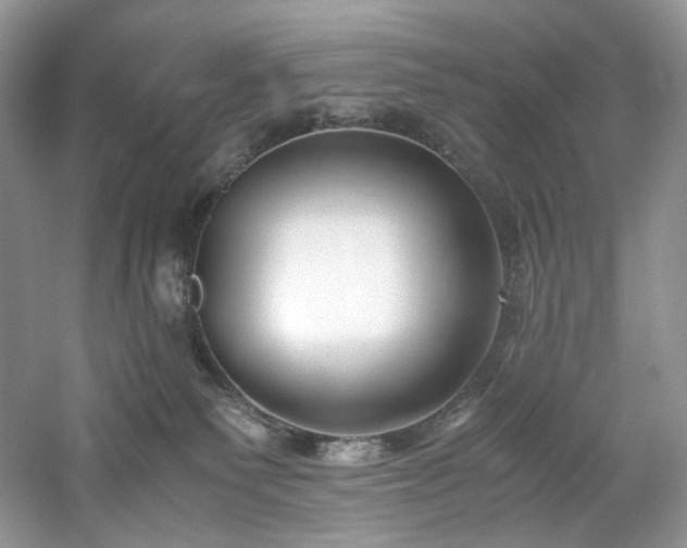 X0000061720135200512021349