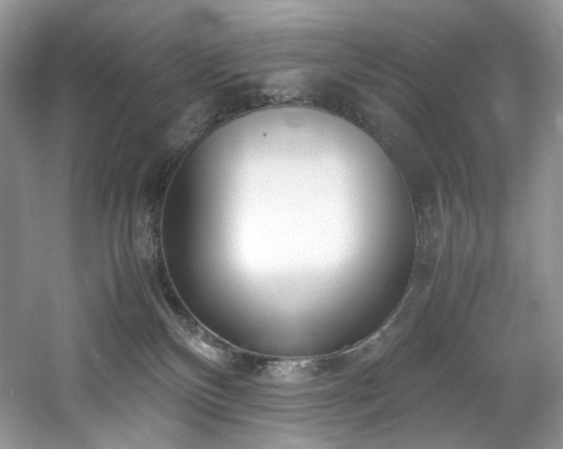X0000061720136200512021349