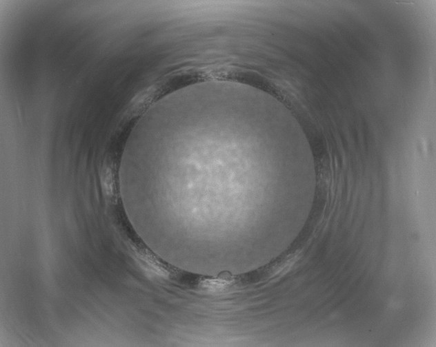 X0000061720139200512021349