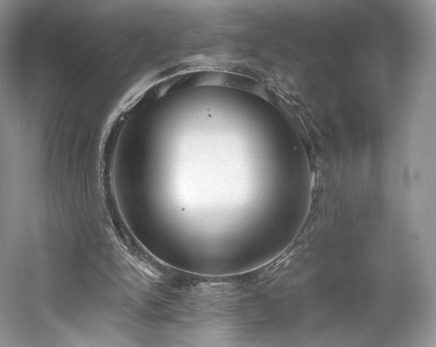 X0000061720150200512021348