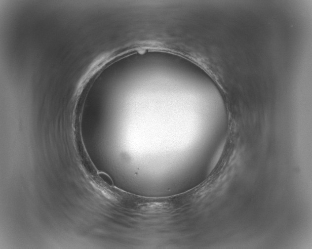X0000061720151200512021348