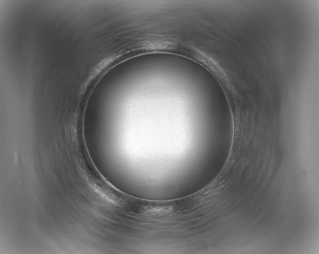 X0000061720155200512021348