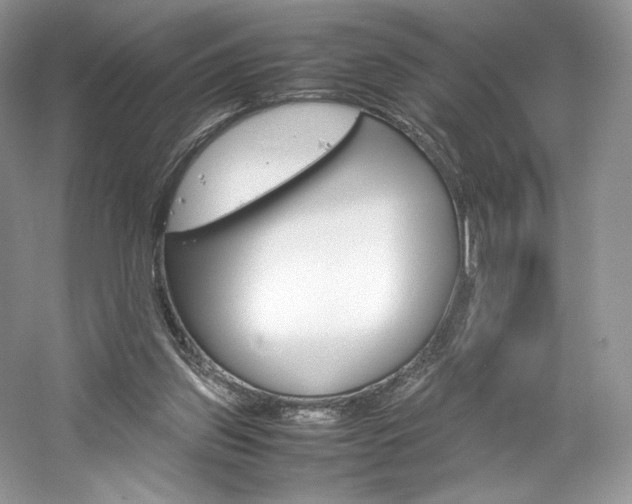 X0000061720157200512021348
