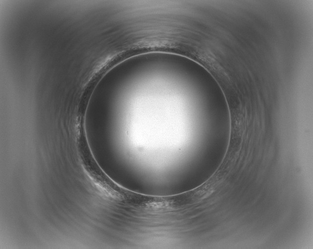 X0000061720160200512021348