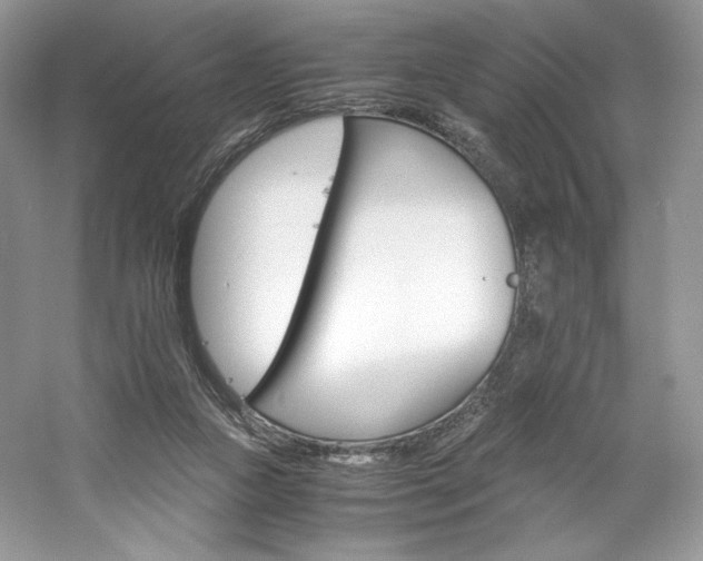 X0000061720161200512021348