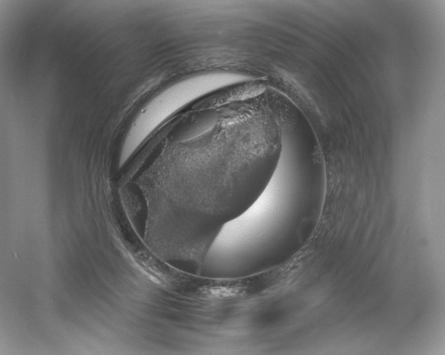 X0000061720163200512021348