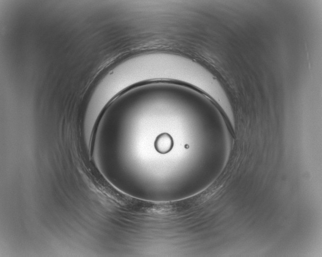 X0000061720164200512021349