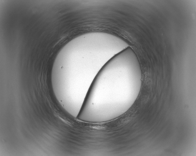 X0000061720165200512021349