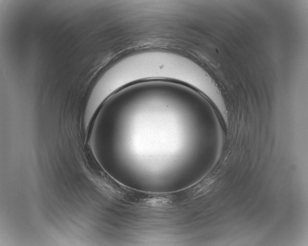 X0000061720168200512021349