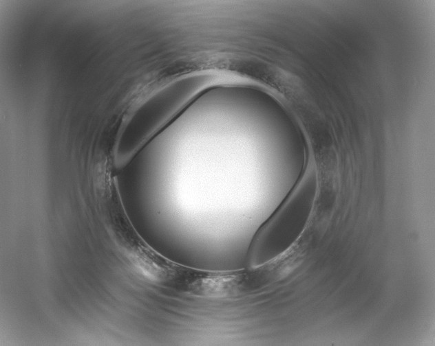X0000061720172200512021349