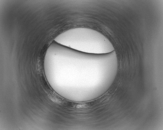 X0000061720173200512021349