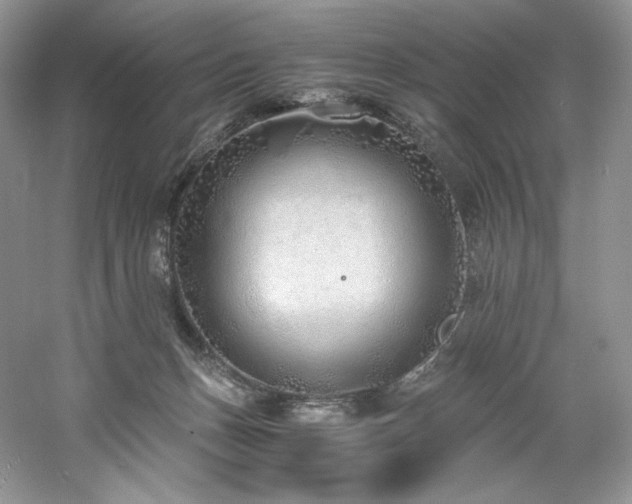 X0000061720175200512021349