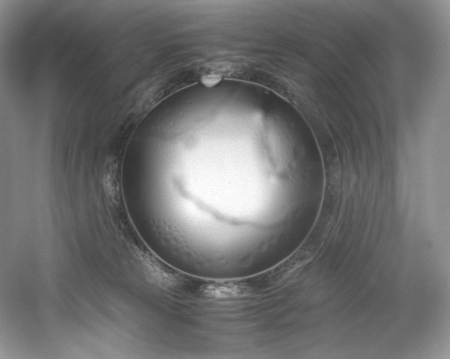 X0000061720181200512021349