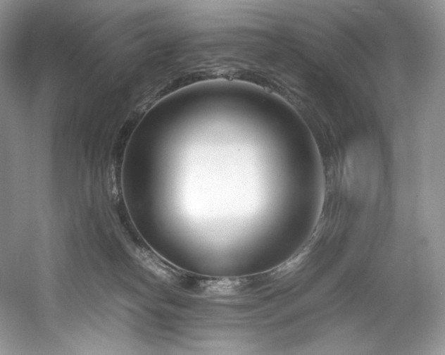 X0000061720182200512021349
