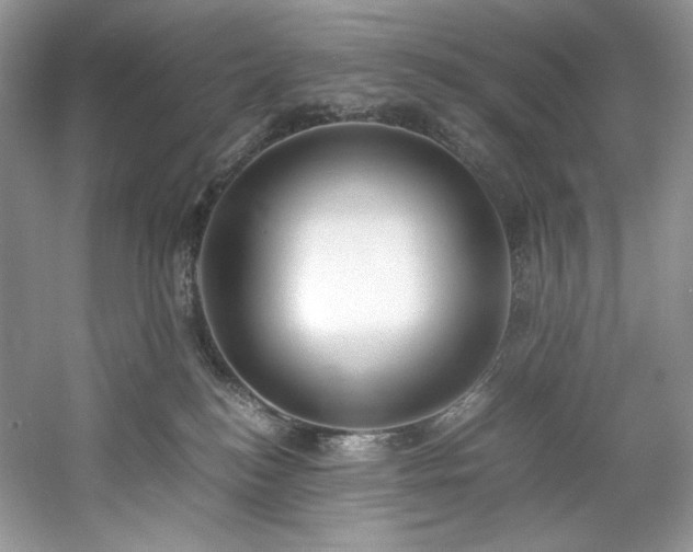 X0000061720184200512021349