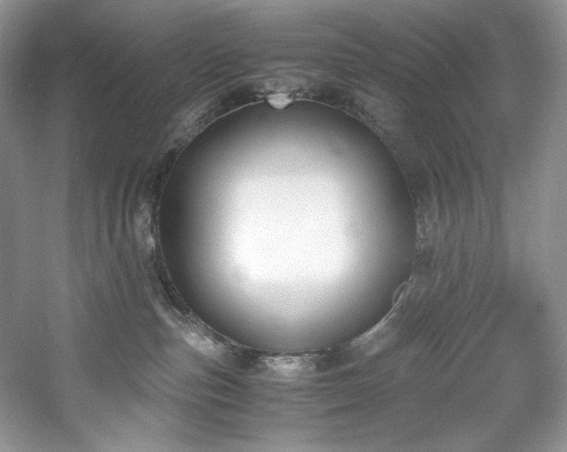 X0000061720187200512021349
