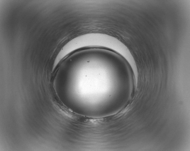 X0000061720188200512021349