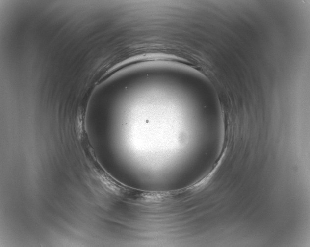 X0000061720190200512021349