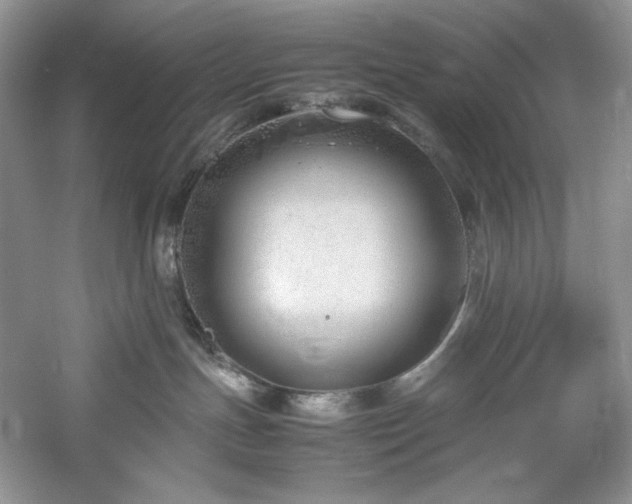 X0000061720191200512021349