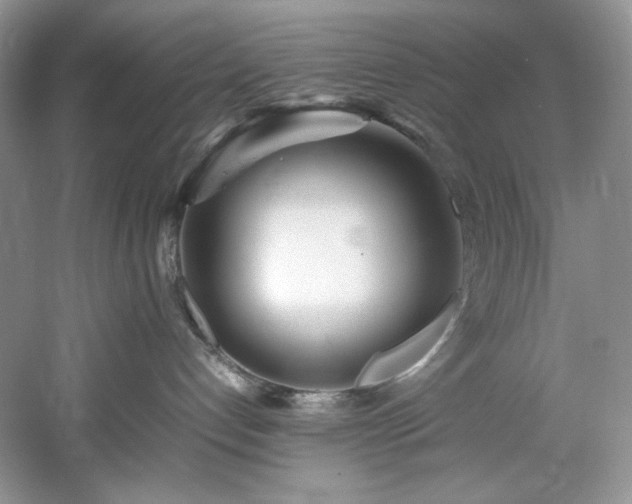 X0000061720192200512021349