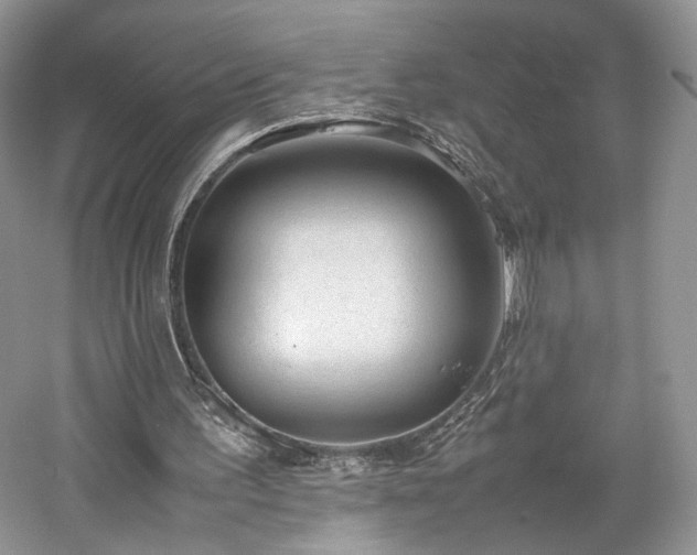 X0000061720195200512021348