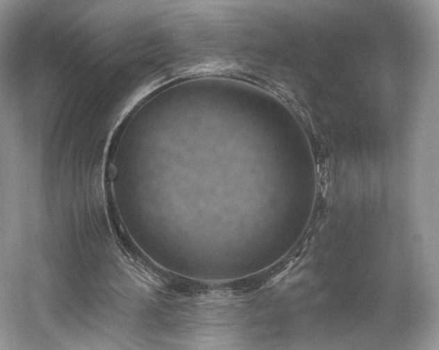 X0000061720196200512021348