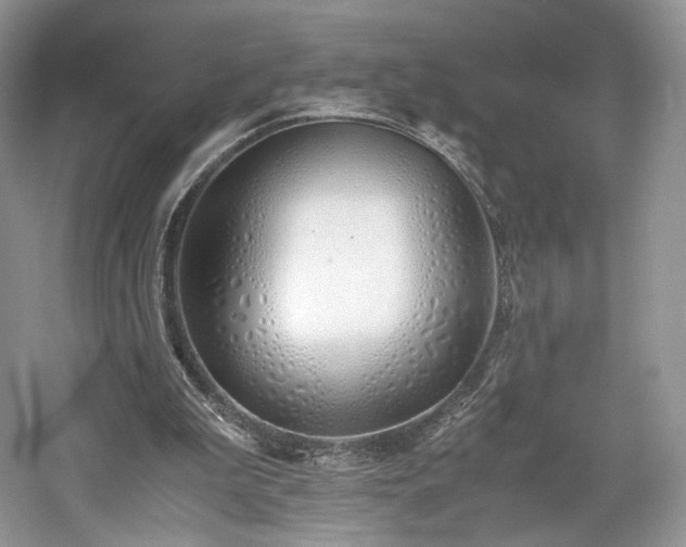 X0000061720199200512021348