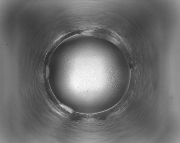 X0000061720203200512021348